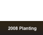 2008 Planting