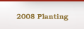 2008 Planting